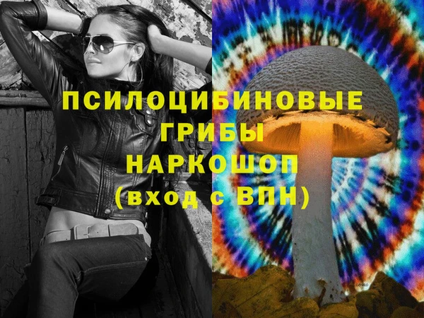 ГАЛЛЮЦИНОГЕННЫЕ ГРИБЫ Алексин