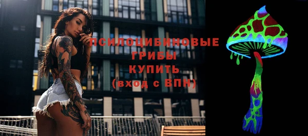 ГАЛЛЮЦИНОГЕННЫЕ ГРИБЫ Алексин