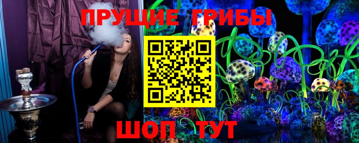 Псилоцибиновые грибы MAGIC MUSHROOMS Советская Гавань
